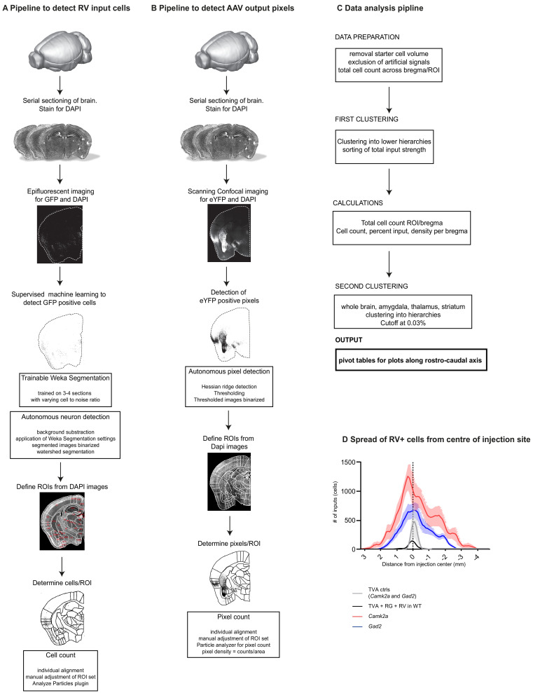 Figure 1—figure supplement 4.