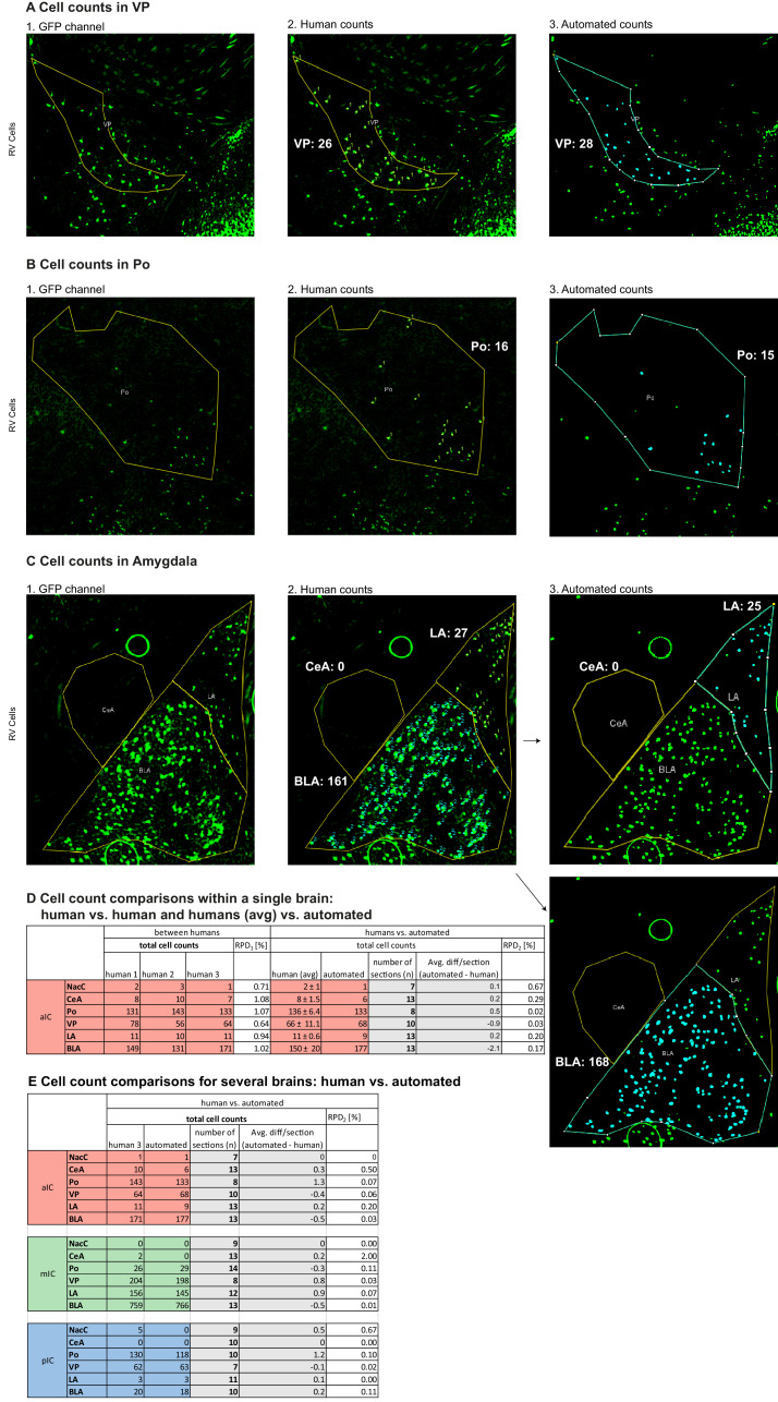 Figure 1—figure supplement 3.