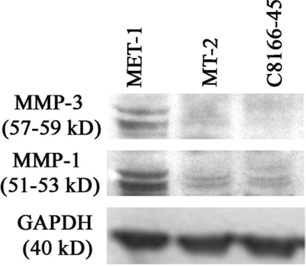 Fig. 12