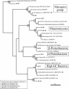 FIG. 6.
