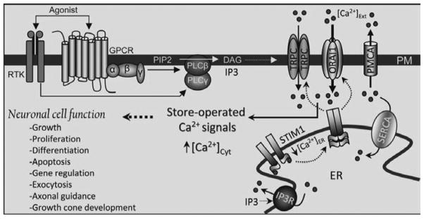 Fig. 27.1