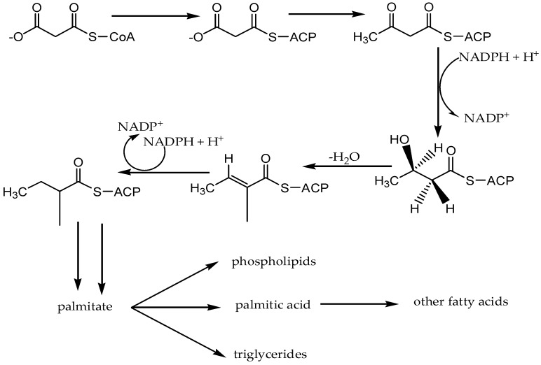 Figure 17