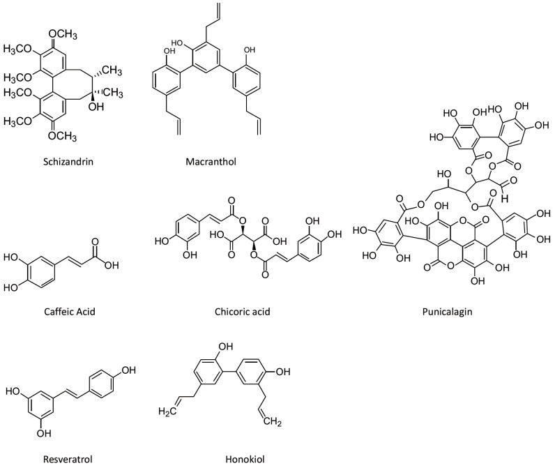 Fig. (2)