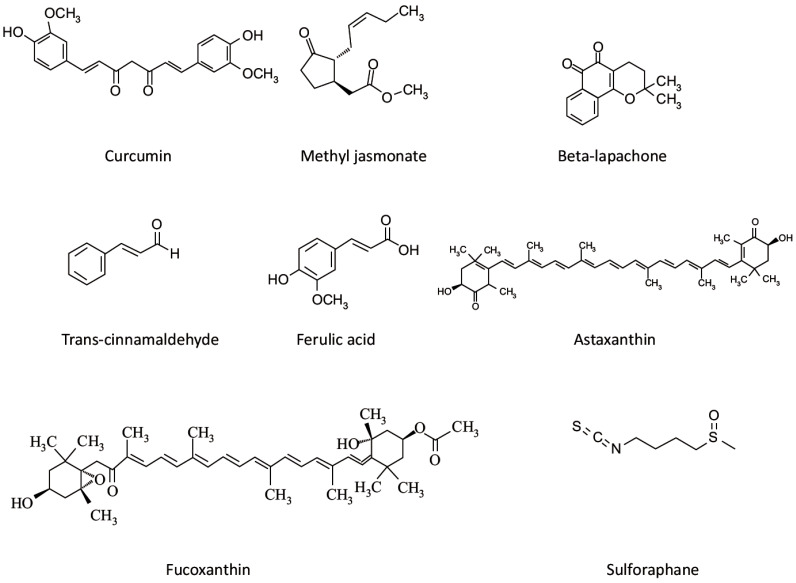 Fig. (6)