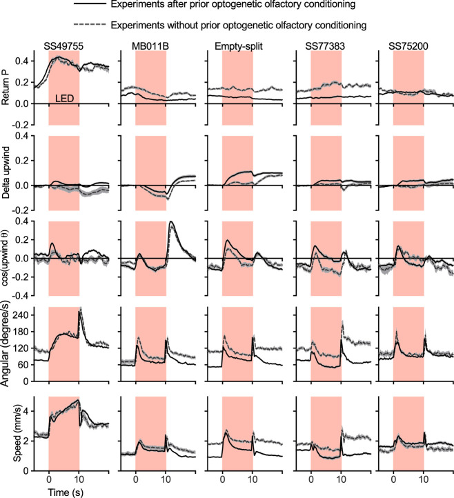 Figure 2—figure supplement 2.