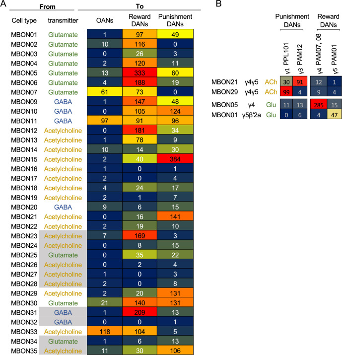 Figure 2—figure supplement 1.