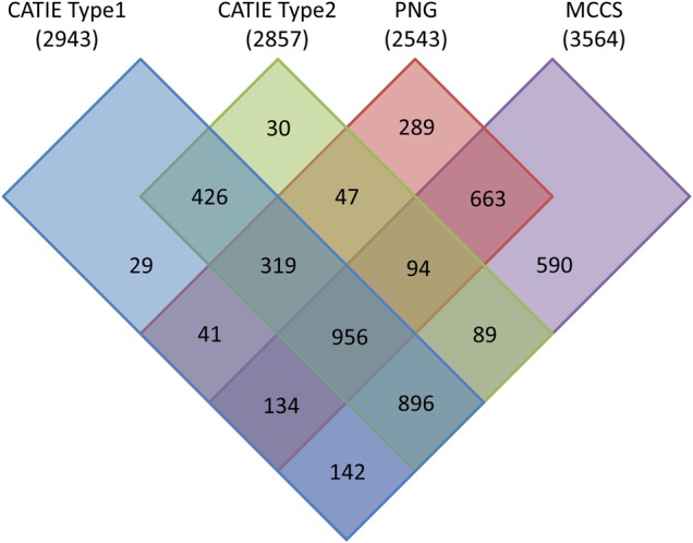 Figure 6.