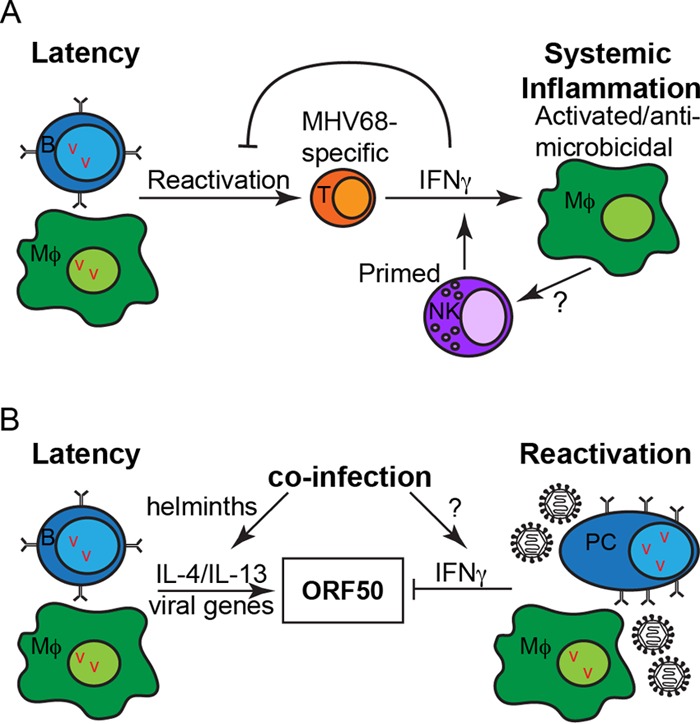 FIG 1