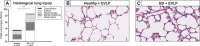Fig 8