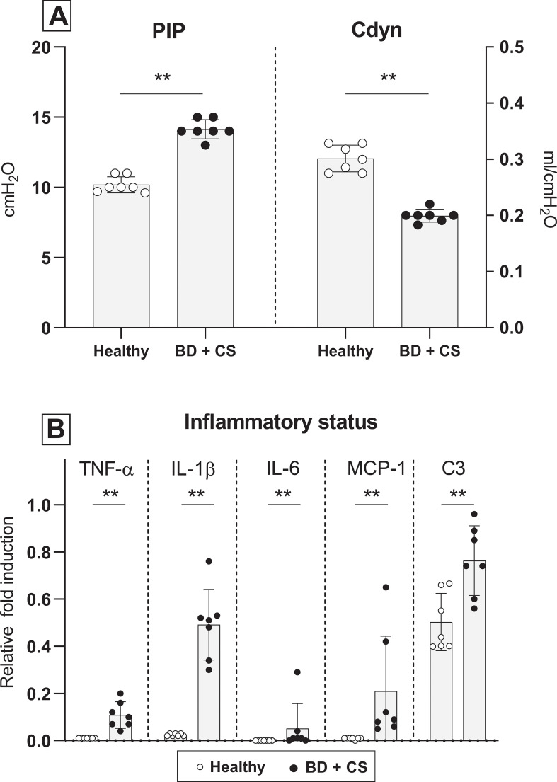 Fig 4