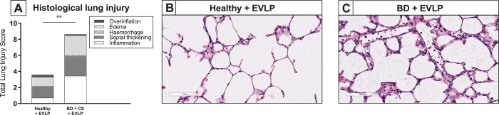 Fig 8