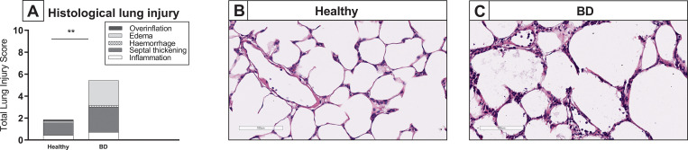 Fig 5