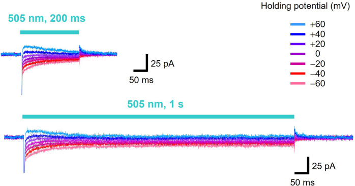 Figure 1—figure supplement 1.