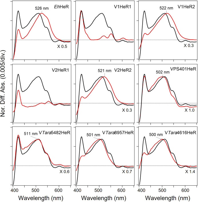 Figure 4—figure supplement 5.