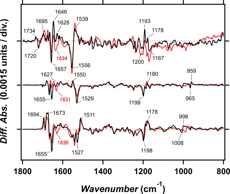 Figure 2—figure supplement 4.