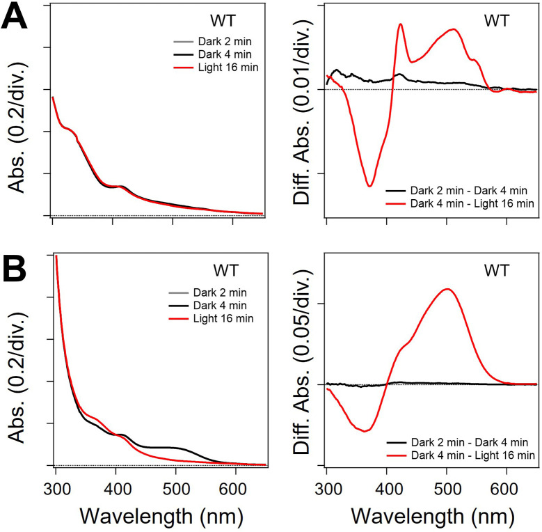 Figure 3—figure supplement 3.