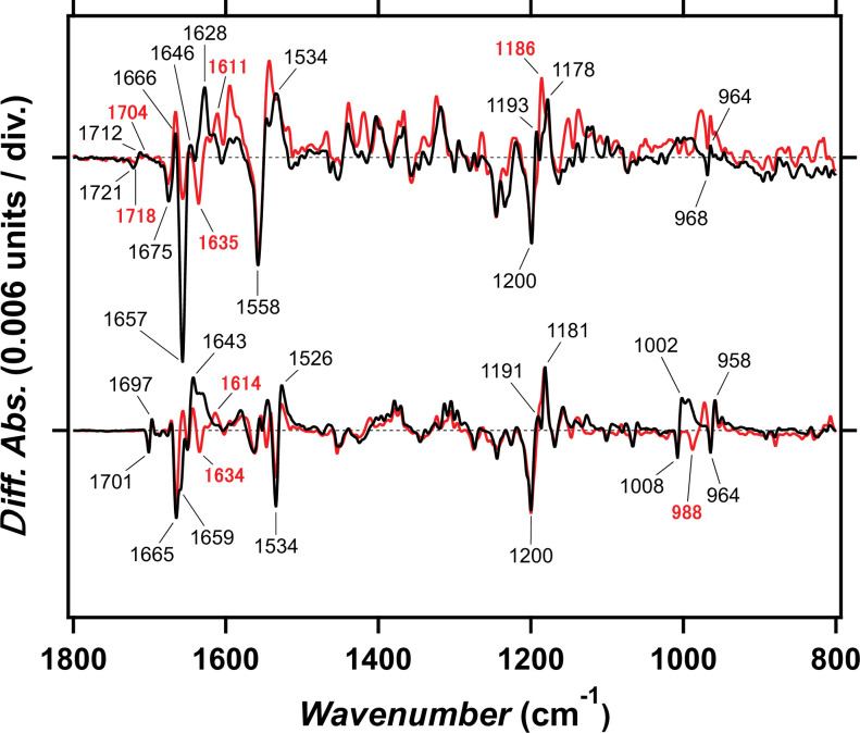 Figure 2—figure supplement 3.