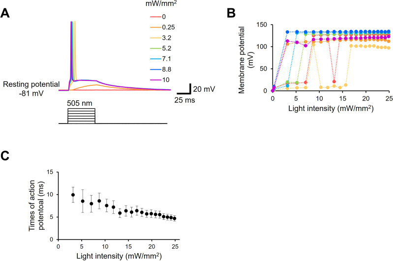 Figure 1—figure supplement 8.