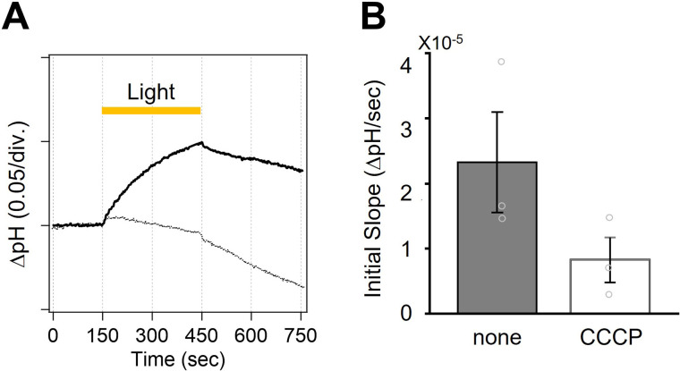 Figure 1—figure supplement 5.