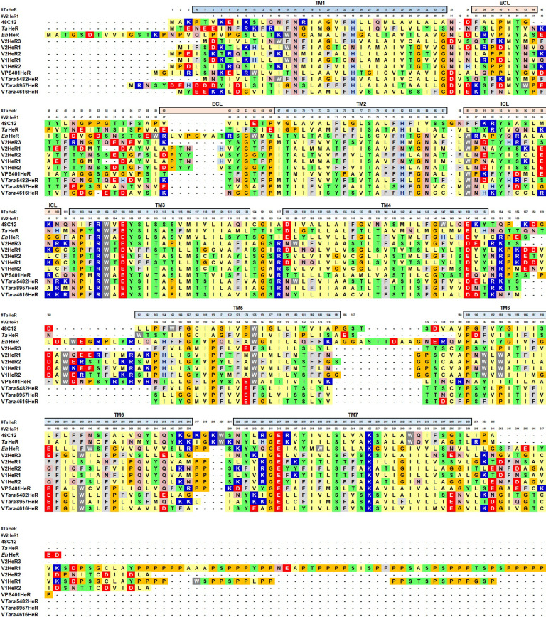 Figure 4—figure supplement 6.