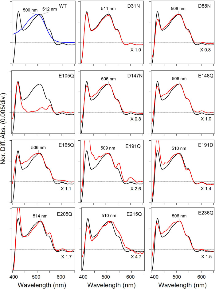 Figure 3—figure supplement 4.