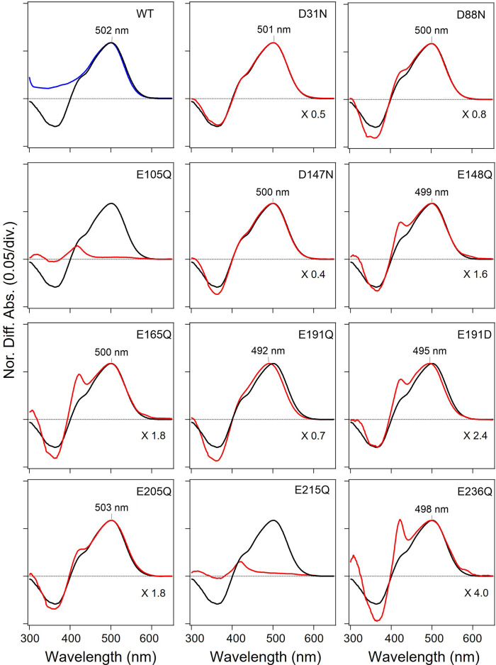 Figure 3—figure supplement 5.