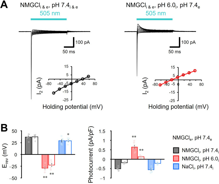 Figure 1—figure supplement 3.