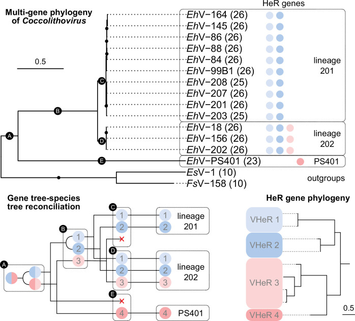 Figure 4—figure supplement 2.