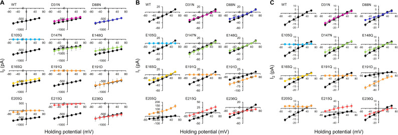 Figure 3—figure supplement 2.