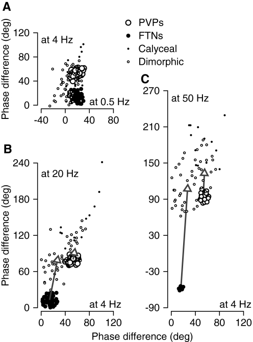 FIG. 8.