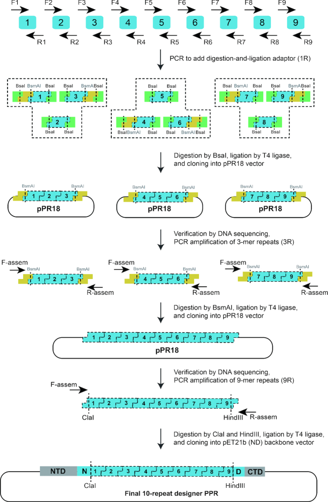 Figure 2.