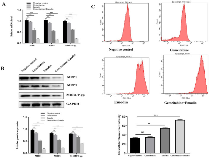 Figure 2.