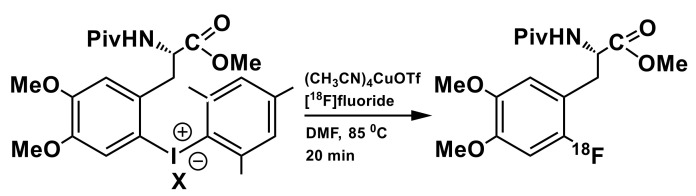 Scheme 5