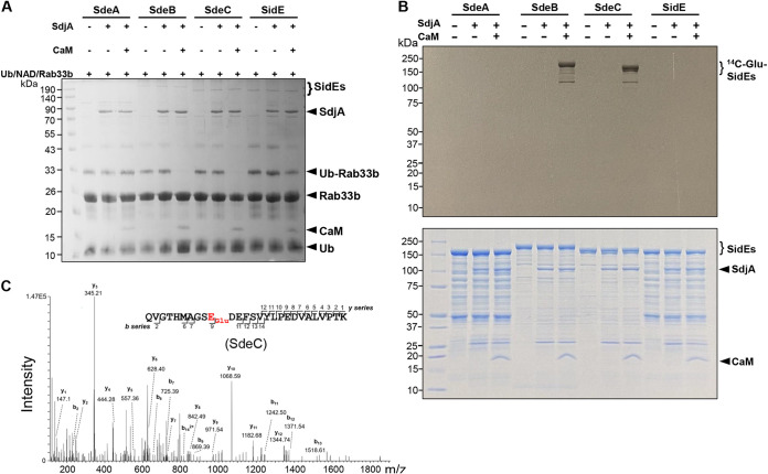 FIG 4