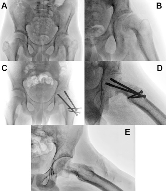 Fig.1