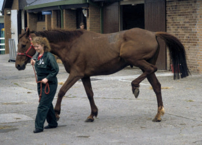 S-91