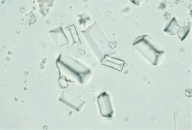 S-92