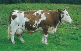 S-57