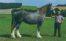 S-51