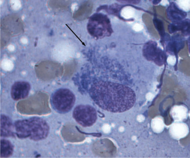 S-05