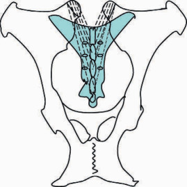 S-01