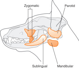S-04