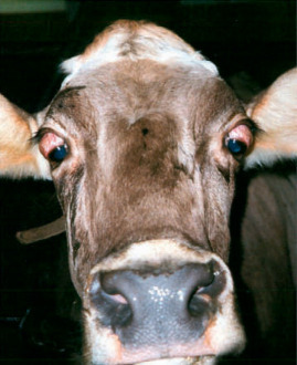 S-89