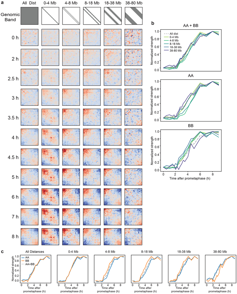 Fig. 3: