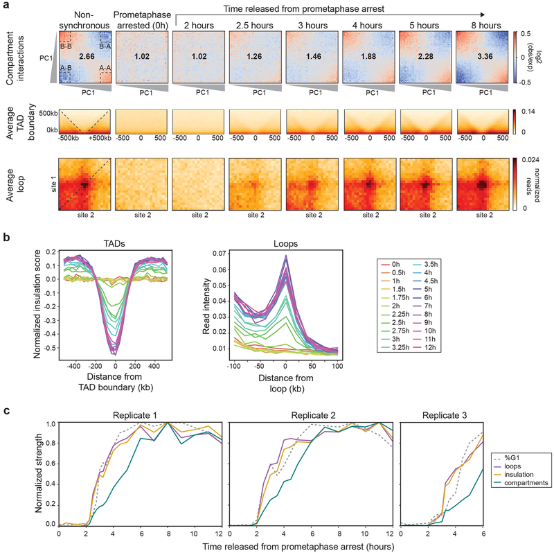 Fig. 2: