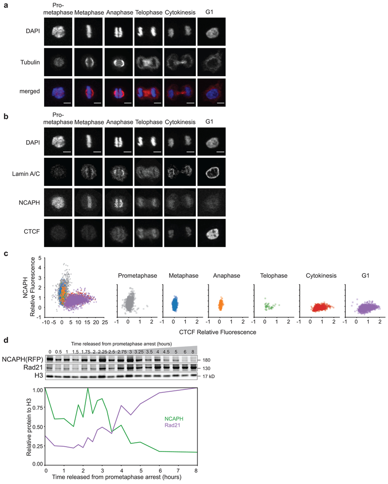 Extended Data Fig. 8