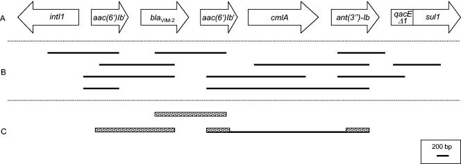 FIG. 1.