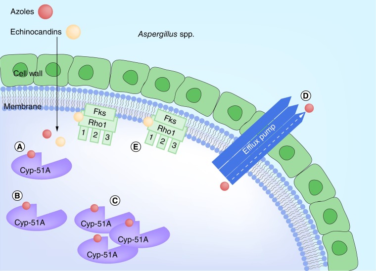 Figure 3. 