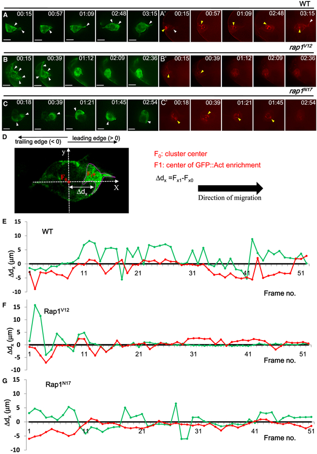 Figure 3.