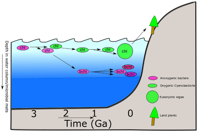 Fig 4